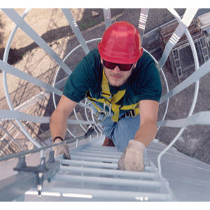 DBI Sala LAD-SAF 60' Flexible Cable Ladder Safety System